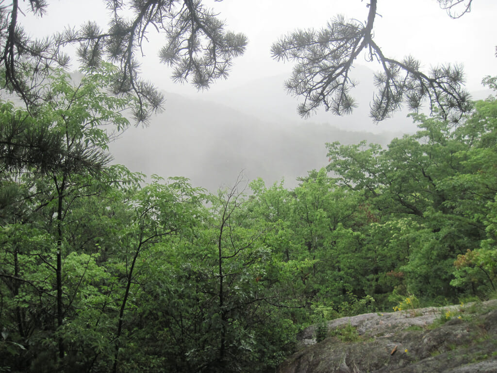 Slick mountain bluffs