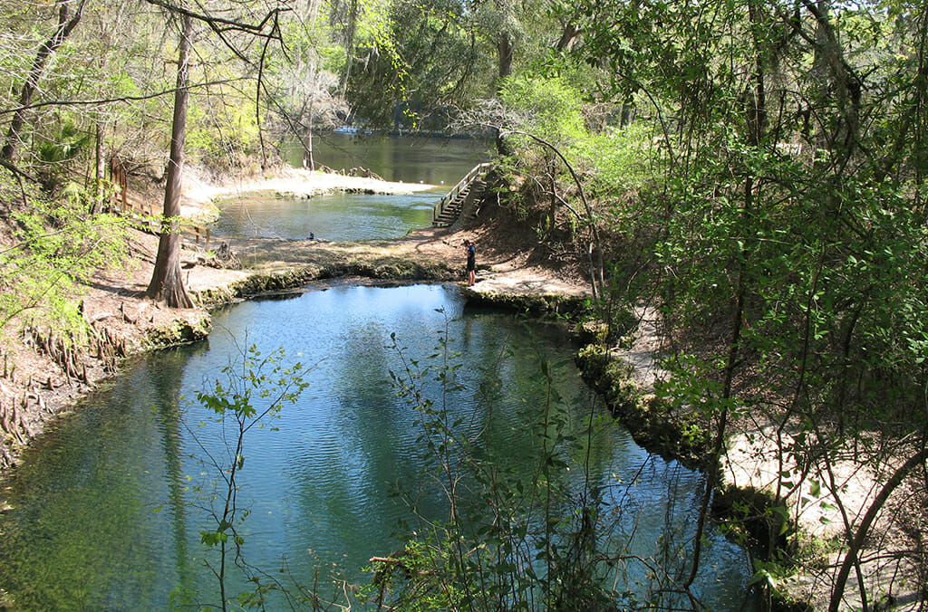 Natural bridge at Lafayette Blue Spring