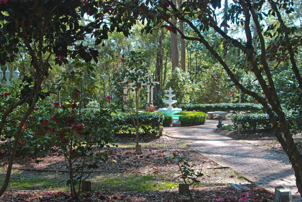 Camellia Garden at Dorothy B. Oven Park