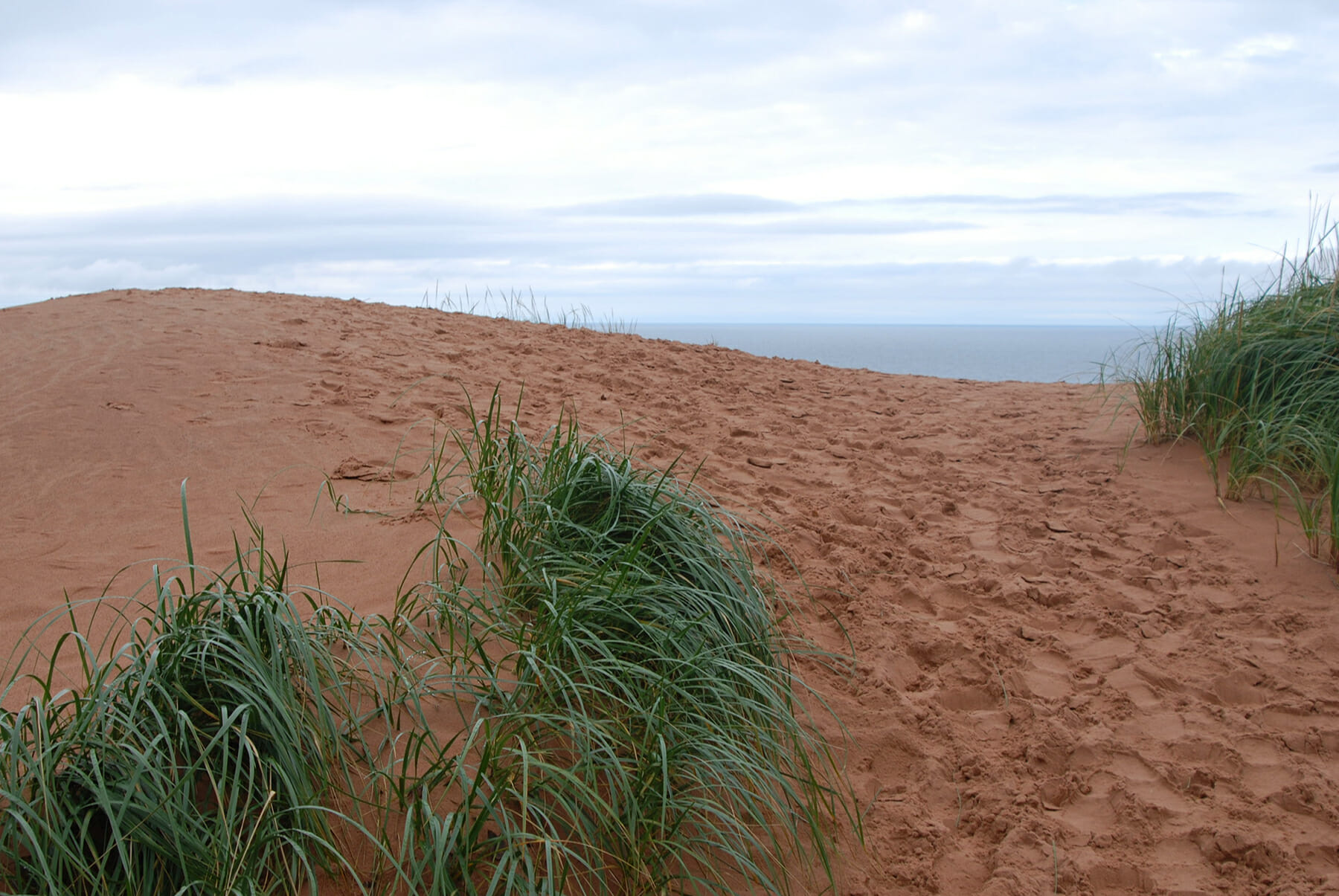 Sabal Dunes at Pictured Rocks National Lakeshore
