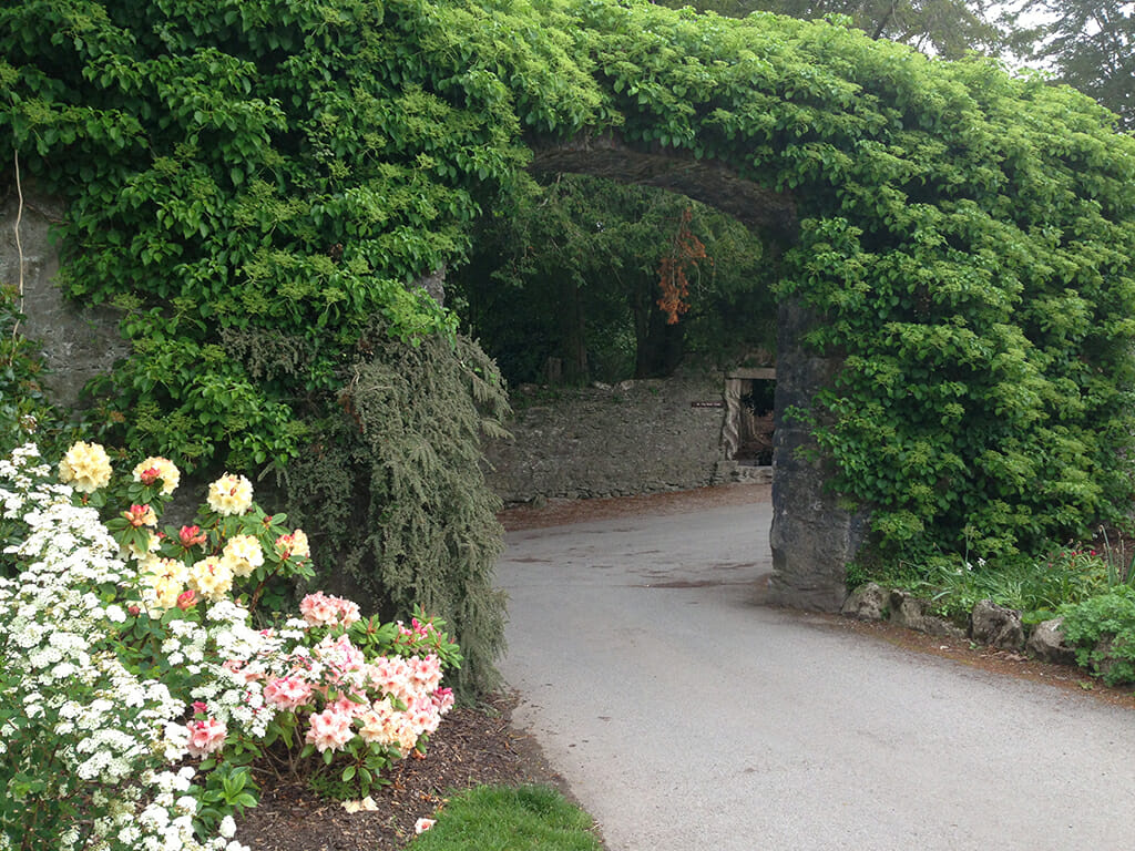 Blarney Castle gardens