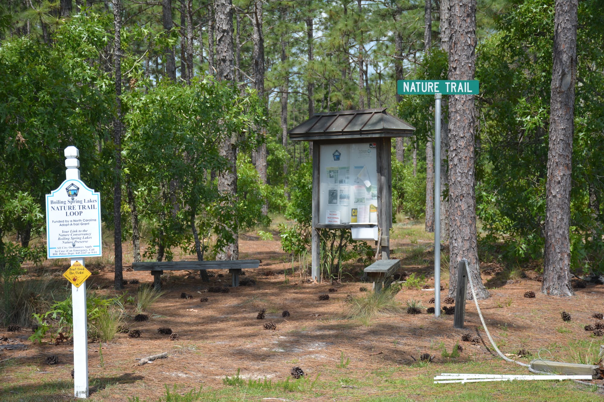 Trailhead signage in the pines