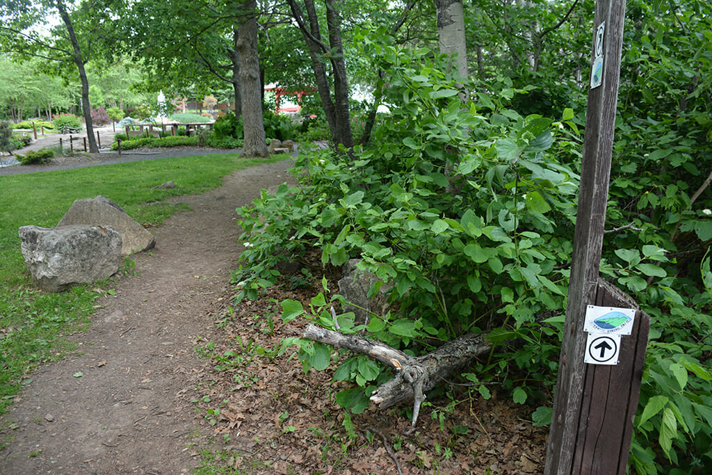 Superior Hiking Trail