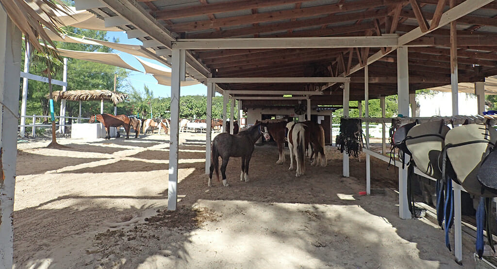 Stables on Half Moon Cay