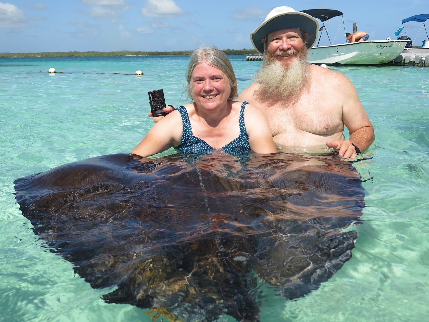 Stingray City Antigua