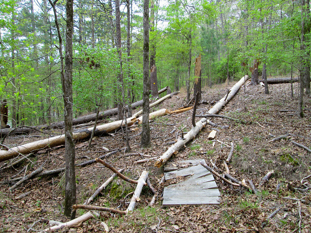 Baker Creek State Park
