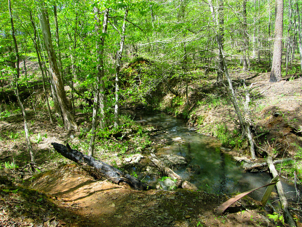 Lick Creek Sumter National Forest