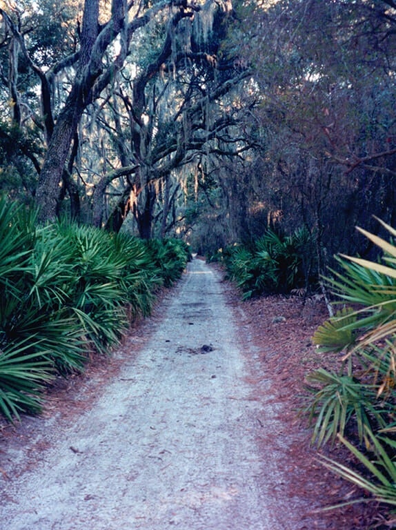 Cumberland Island