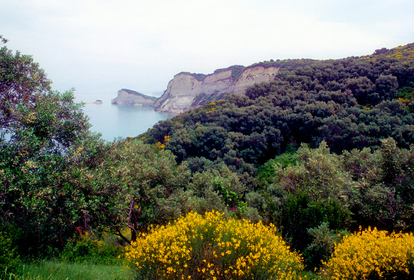 Colorful dramatic North Shore Corfu