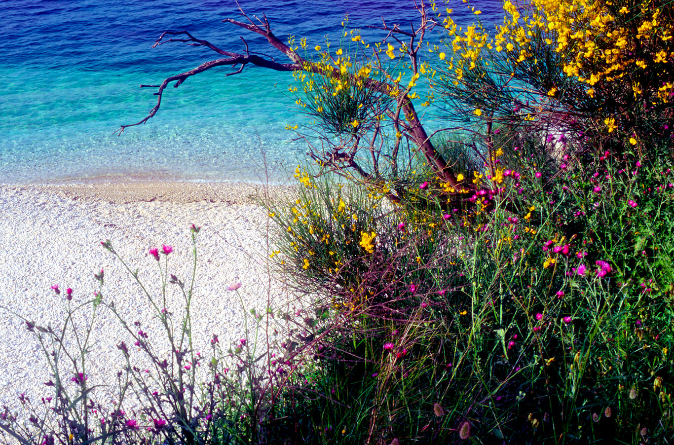 Adriatic shoreline of Corfu