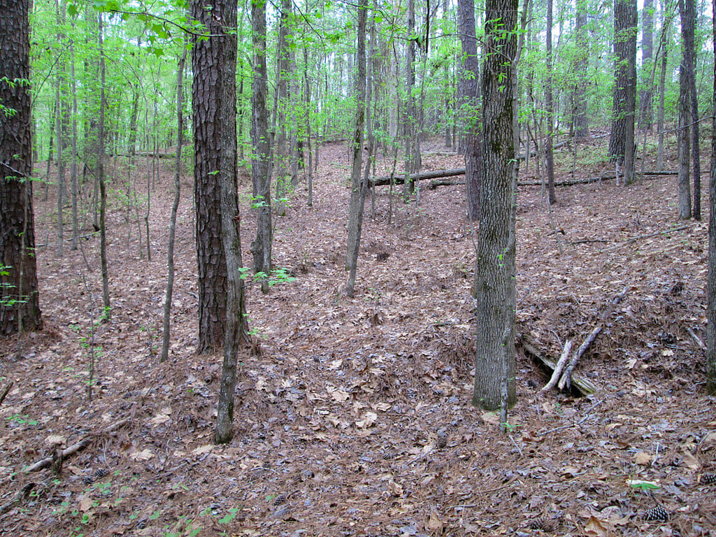 Baker Creek State Park