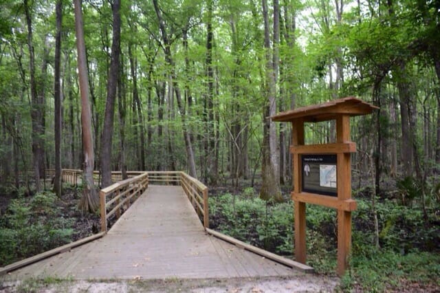 George B Hartzog Jr. Trail