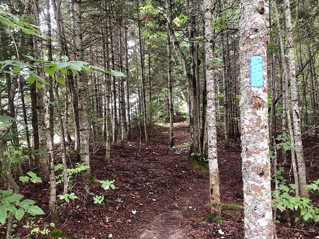 North Country Trail at Bark Dock