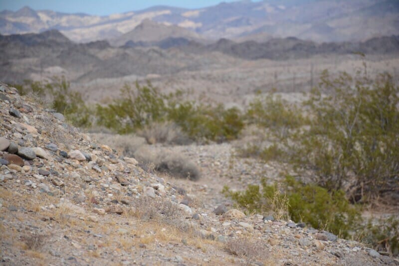 Colorado River Greenway