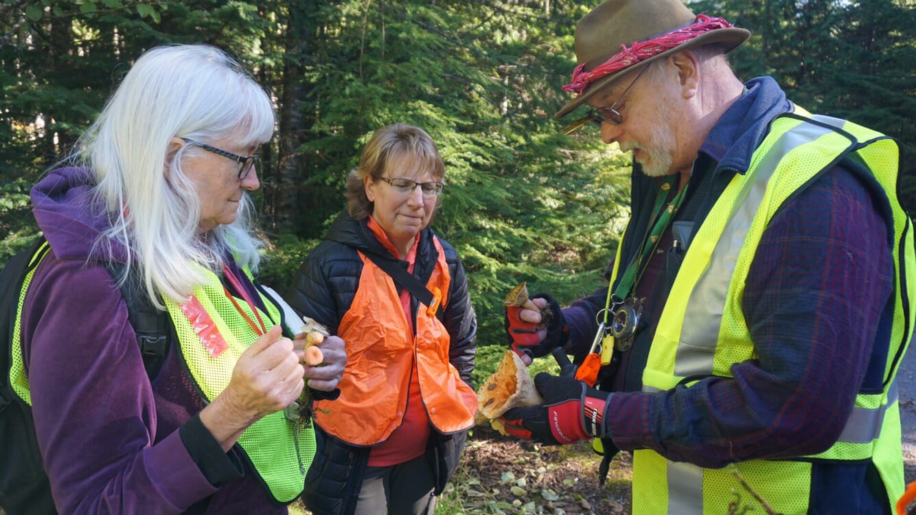 Mushroom hunting Tours with Steve