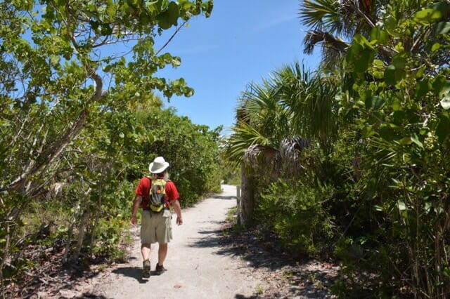 Old beachfront road at Barefoot Beach