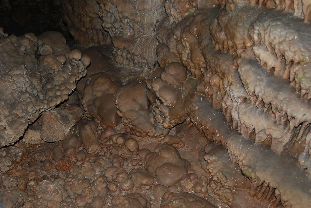 Cave coral with a flowstone topping