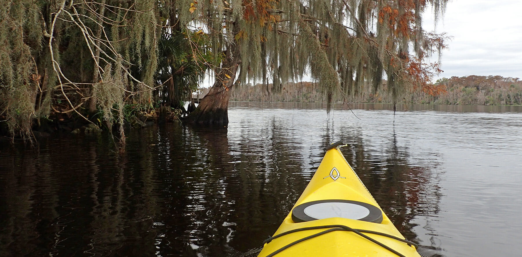 St Johns River paddling