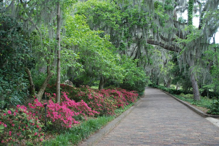 Alfred B. Maclay Gardens
