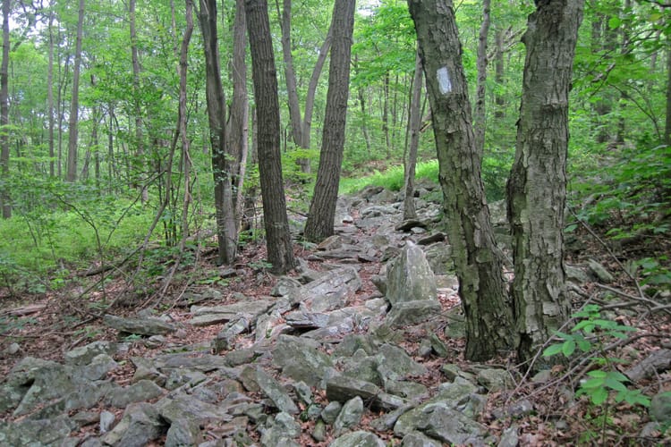 Rocksylvania on the AT