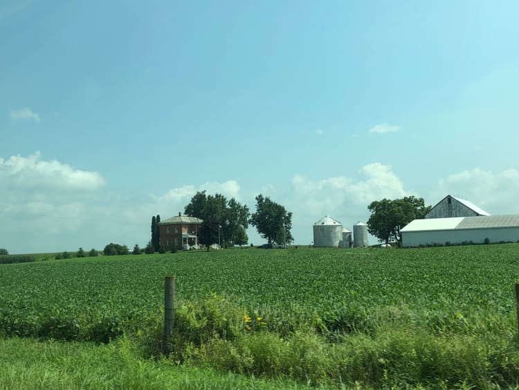 A farm covered in corn