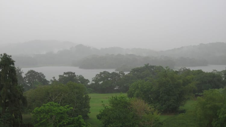 Raining over a rainforest