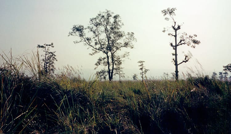 Royal Chitwan National Park