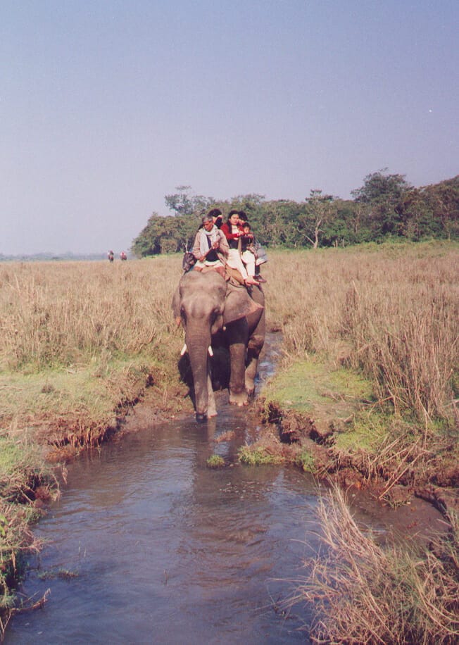 A family on an Indian elephant