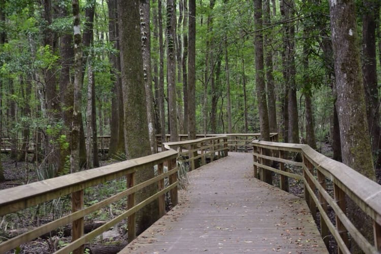 Great Swamp Sanctuary