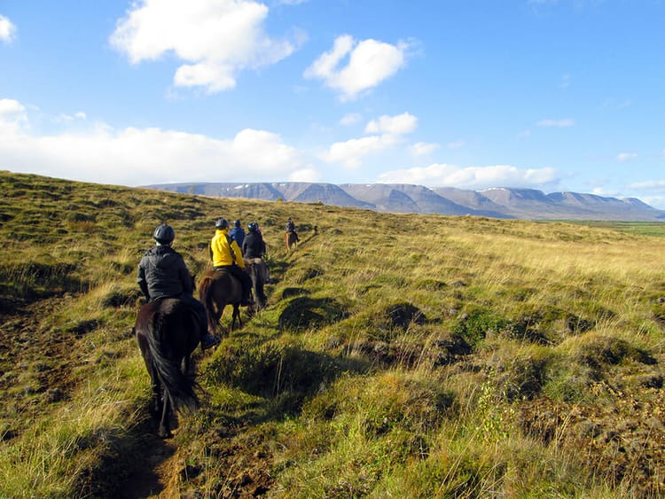 Icelandic horse ride