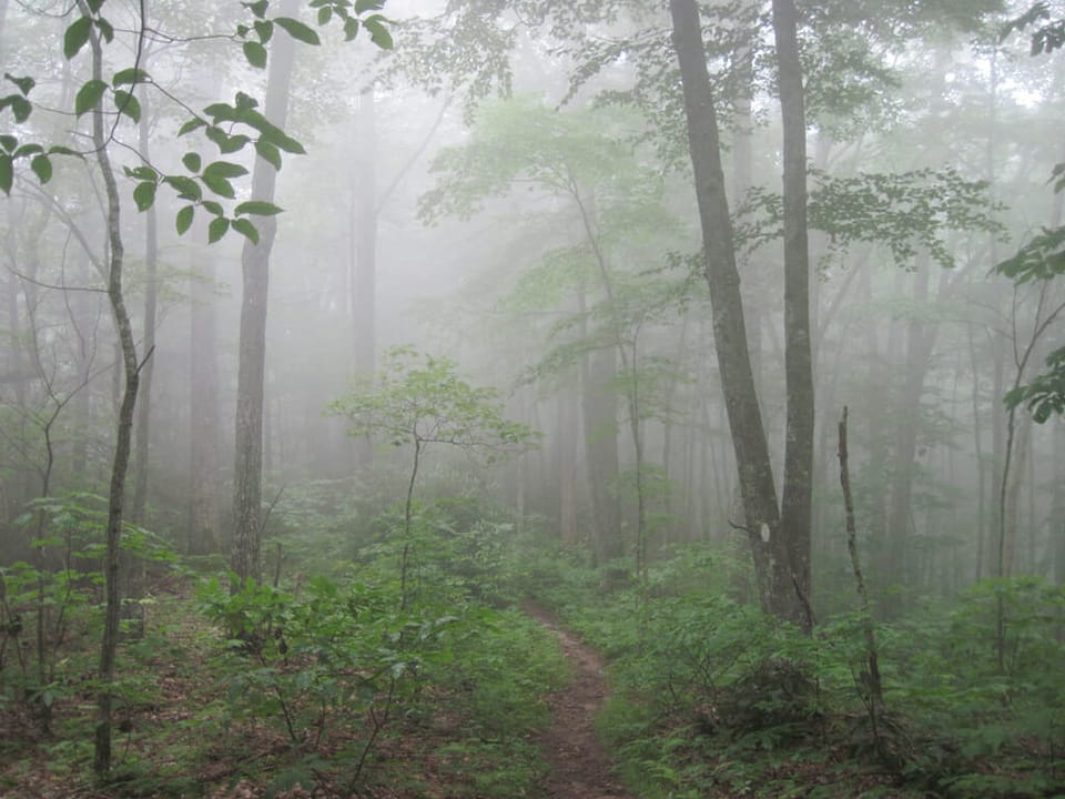 Hiking in the clouds