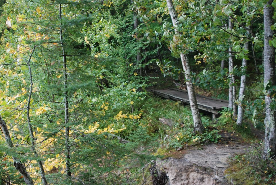Footbridge between stone pedestals in forest