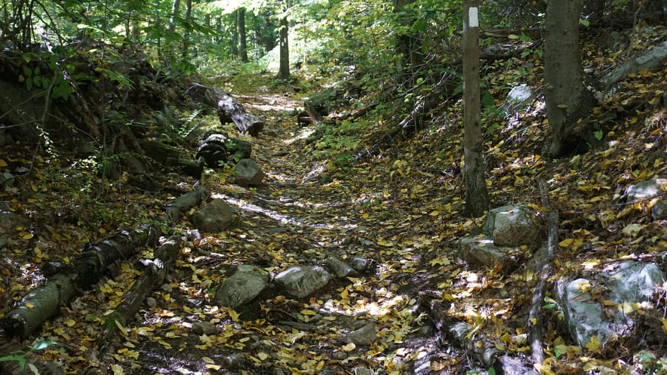 Appalachian Trail on Waywayanda Mountain
