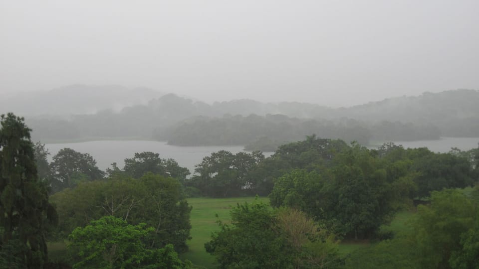 Raining over a rainforest