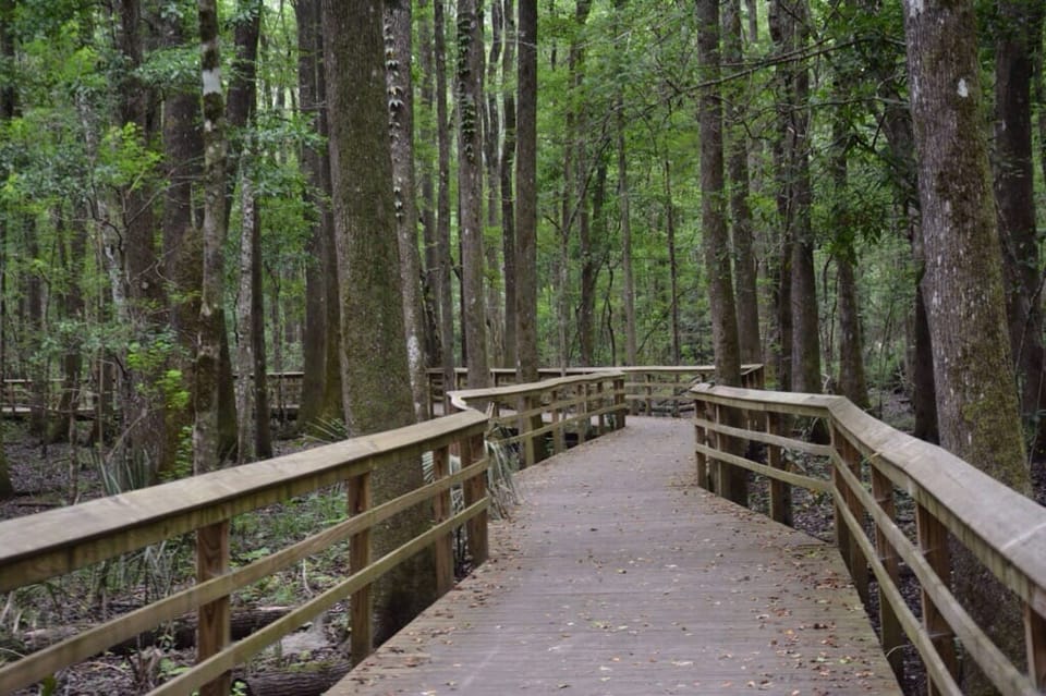 Great Swamp Sanctuary