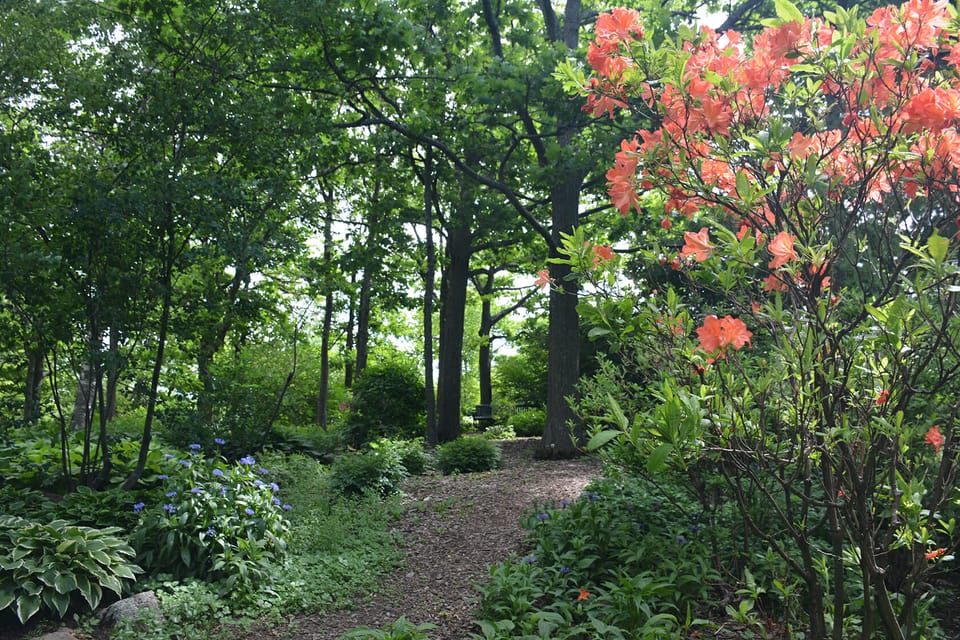 Peace Garden at Enger Tower