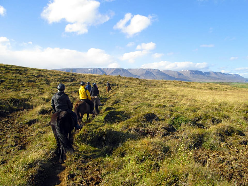 Icelandic horse ride